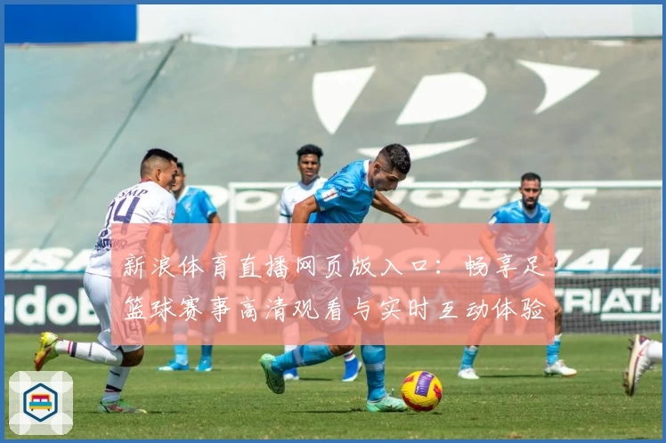新浪体育直播网页版入口：畅享足篮球赛事高清观看与实时互动体验