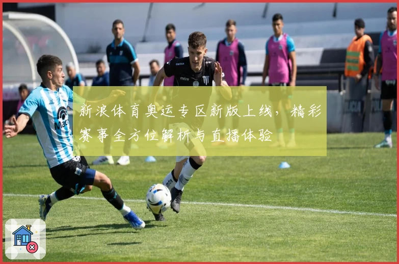 新浪体育奥运专区新版上线，精彩赛事全方位解析与直播体验