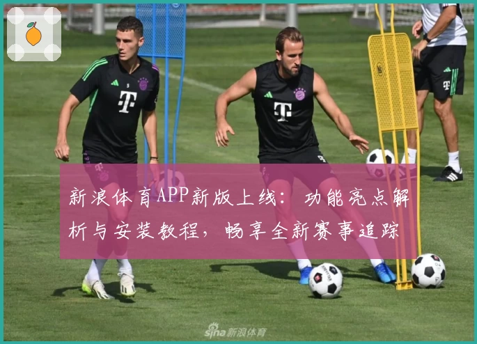 新浪体育APP新版上线：功能亮点解析与安装教程，畅享全新赛事追踪体验