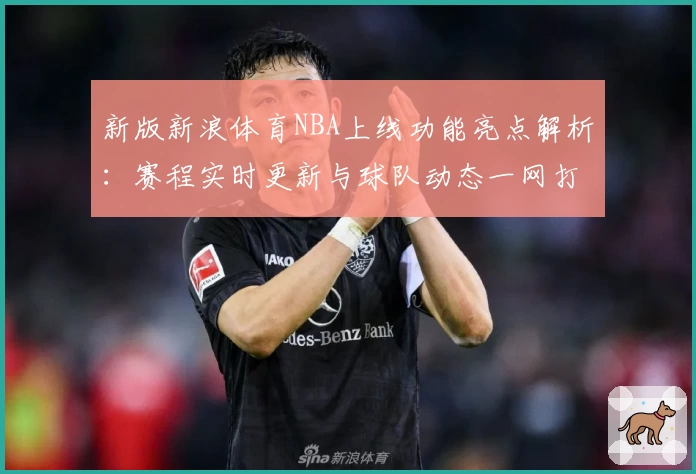 新版新浪体育NBA上线功能亮点解析：赛程实时更新与球队动态一网打尽