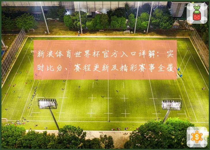 新浪体育世界杯官方入口详解：实时比分、赛程更新及精彩赛事全覆盖