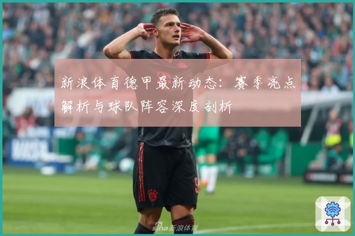 新浪体育德甲最新动态:赛季亮点解析与球队阵容深度剖析