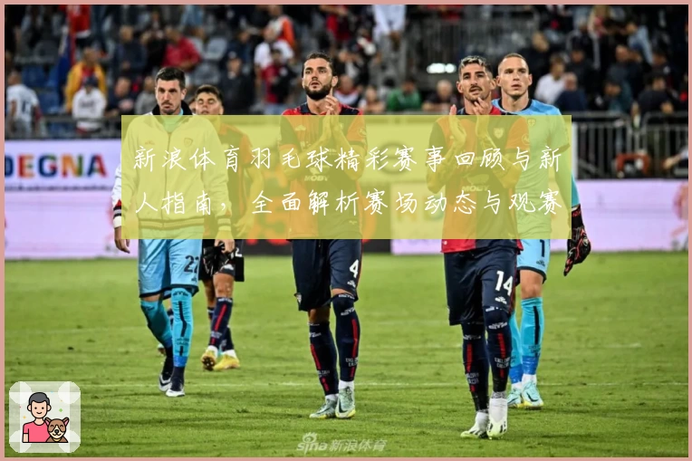 新浪体育羽毛球精彩赛事回顾与新人指南，全面解析赛场动态与观赛体验