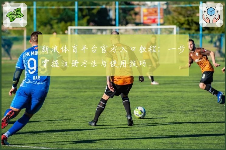 新浪体育平台官方入口教程：一步掌握注册方法与使用技巧