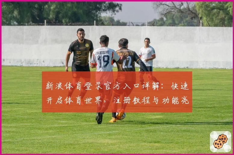 新浪体育登录官方入口详解：快速开启体育世界，注册教程与功能亮点一览