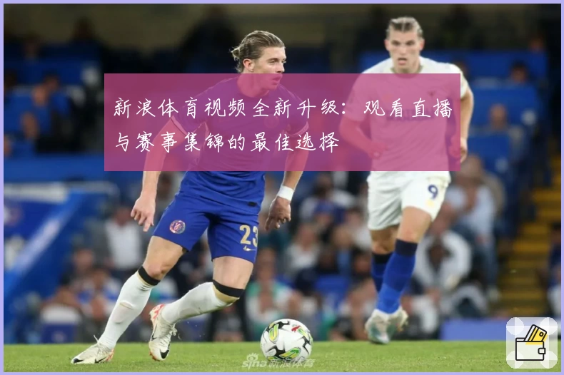 新浪体育视频全新升级：观看直播与赛事集锦的最佳选择