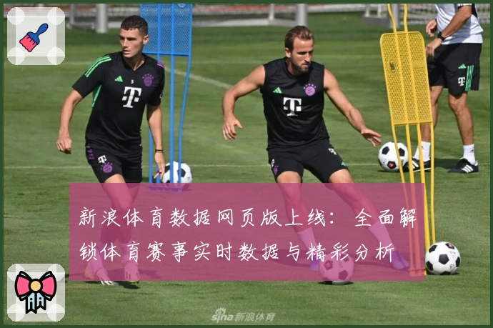 新浪体育数据网页版上线：全面解锁体育赛事实时数据与精彩分析