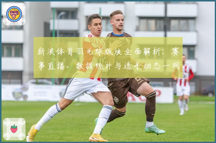 新浪体育羽毛球版块全面解析：赛事直播、数据统计与选手动态一网打尽