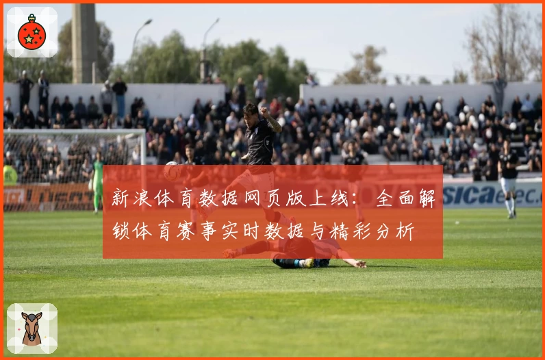 新浪体育数据网页版上线：全面解锁体育赛事实时数据与精彩分析