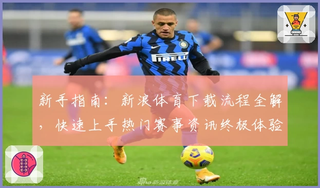 新手指南：新浪体育下载流程全解，快速上手热门赛事资讯终极体验