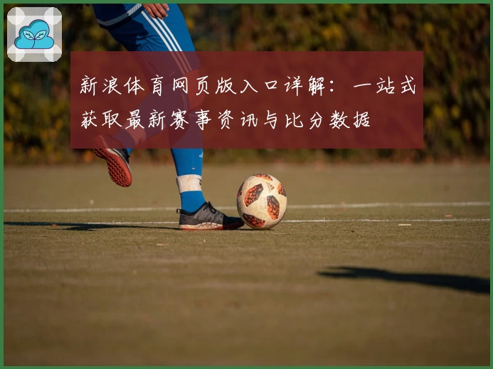 新浪体育网页版入口详解：一站式获取最新赛事资讯与比分数据